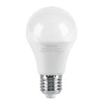 LED-75F