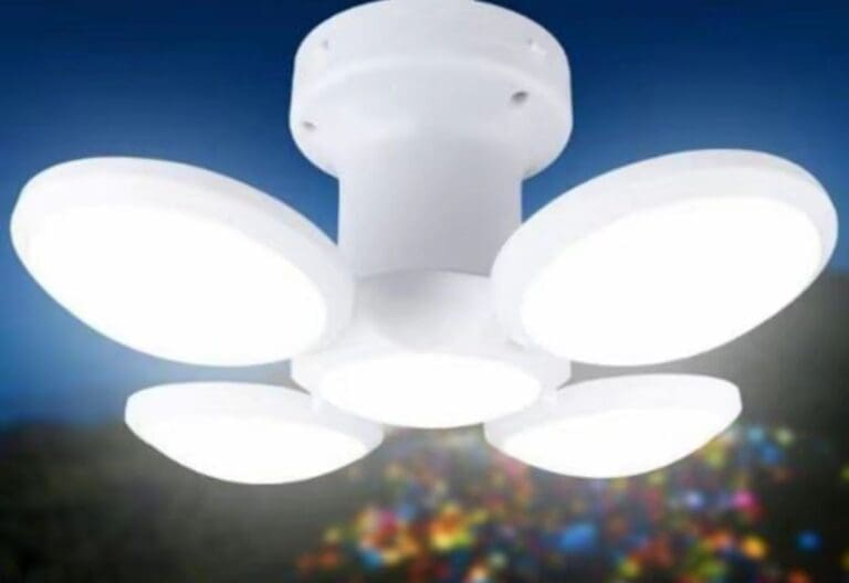 WhatsApp Image 2026-01-16 at 3.34