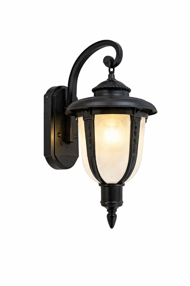 WhatsApp Image 2026-01-12 at 1.34