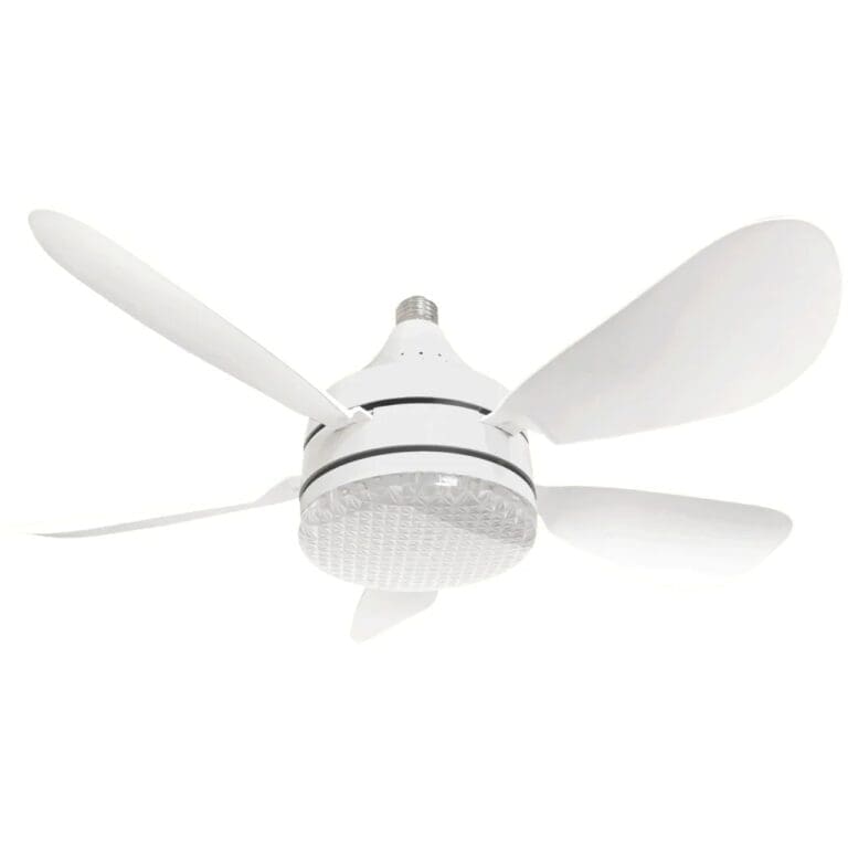 WhatsApp Image 2026-01-13 at 3.06