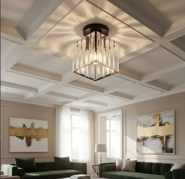 WhatsApp Image 2026-01-15 at 11.06