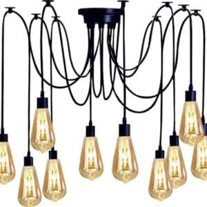 WhatsApp Image 2026-01-17 at 8.21