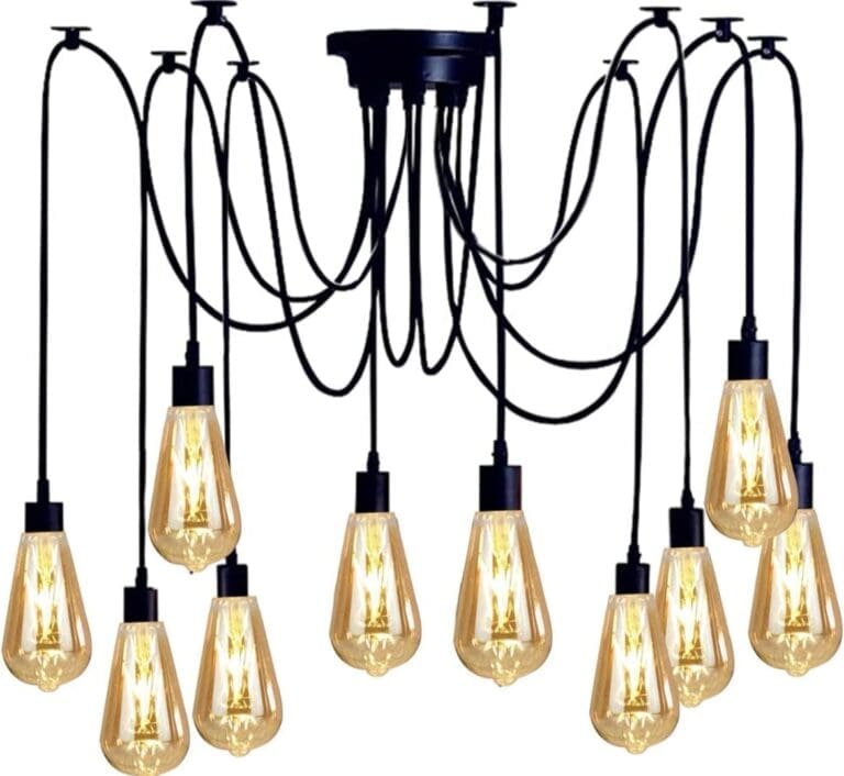 WhatsApp Image 2026-01-17 at 8.21