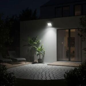 WhatsApp Image 2026-01-17 at 8.41