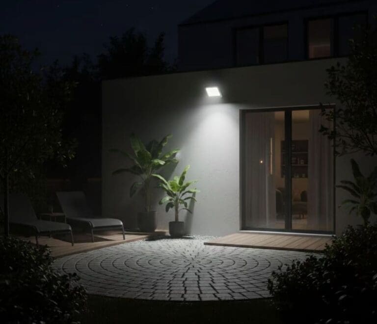 WhatsApp Image 2026-01-17 at 8.41