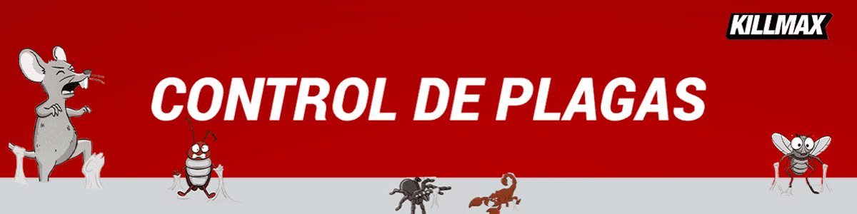 CONTROL DE PLAGAS 1200X300